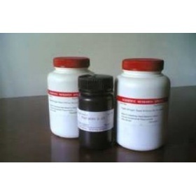 丙烯葡聚糖凝膠S-200 HR 上海研生實(shí)業(yè)的優(yōu)質(zhì)產(chǎn)品選擇